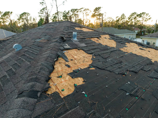 Professional Roofing Services in Springmont, PA